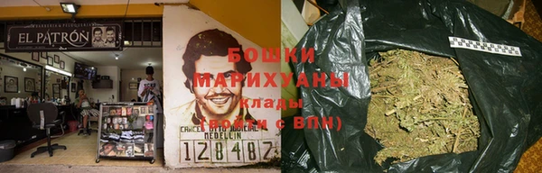 крисы Арсеньев